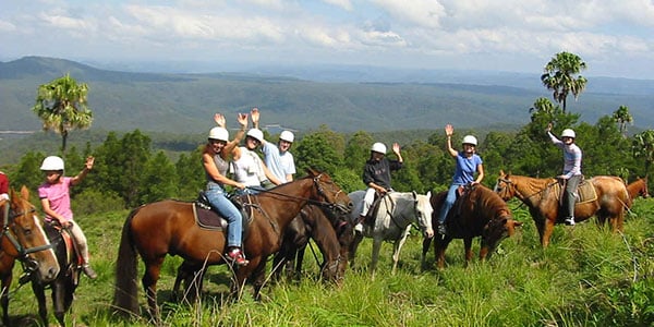 Horse Riding